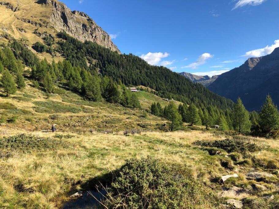 Wohnung Mit Bergblick Im Haus Sonne Reith bei Seefeld Bagian luar foto